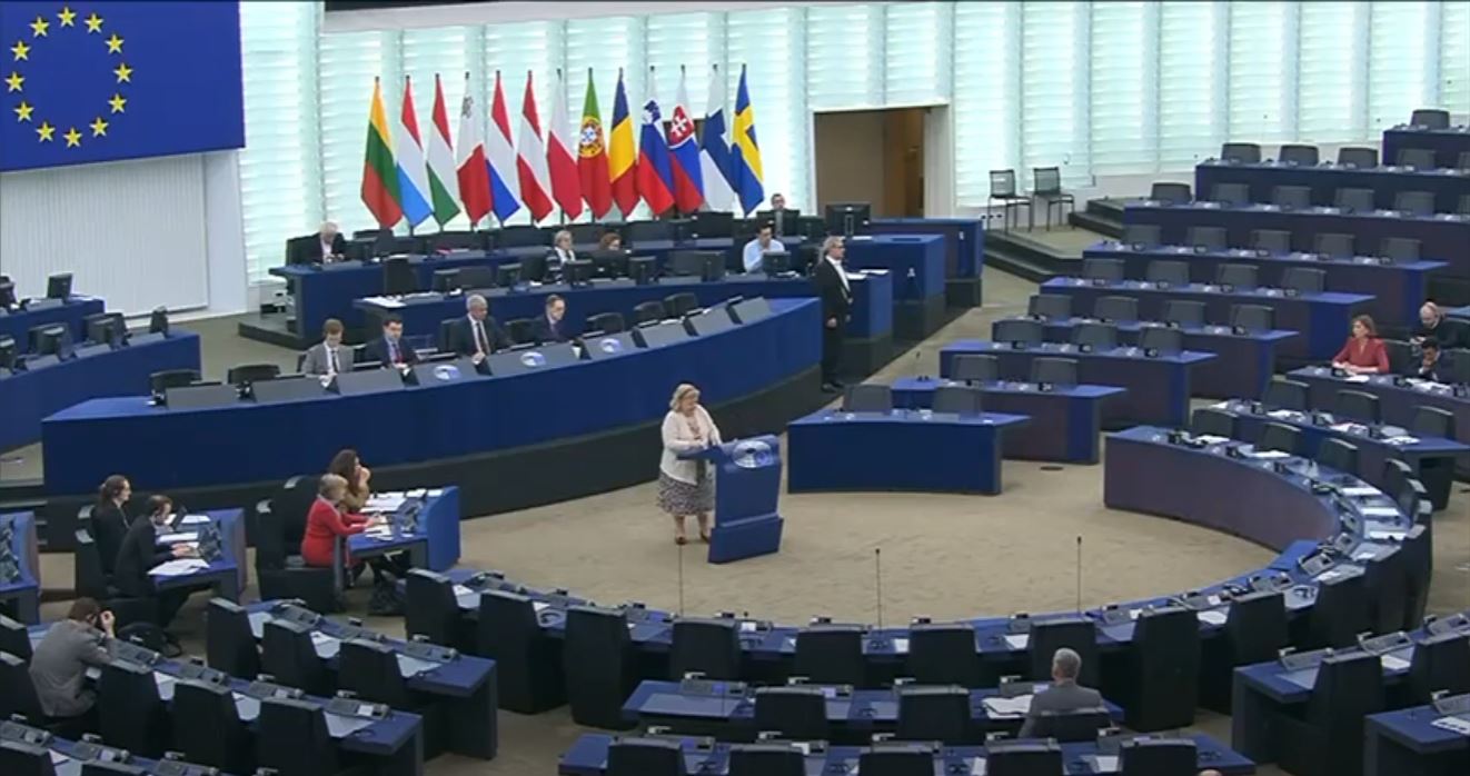 Clara Aguilera – Debate sobre la nueva normativa de Bienestar animal en  el transporte