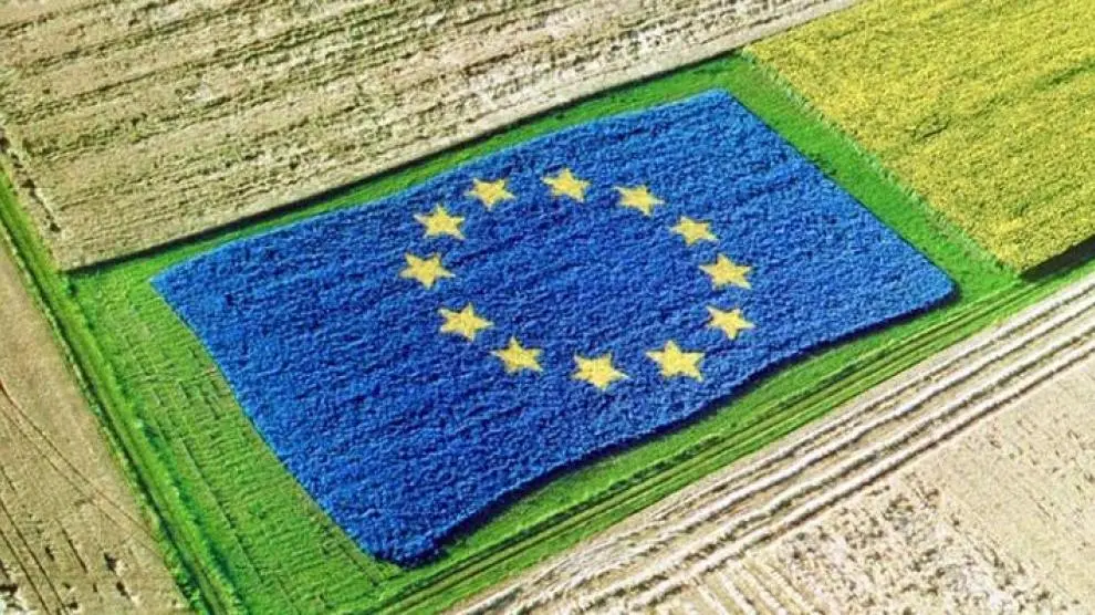 Nuevas propuestas de simplificación de la PAC, ¿qué soponen en mi opinión?