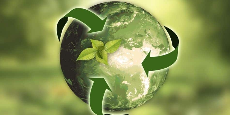 Estrategia – Hacia una bioeconomía circular regenerativa y competitiva – Consulta pública