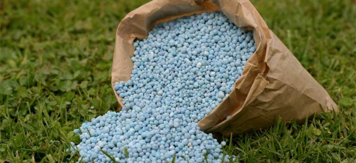 Reglamento sobre los productos fertilizantes evaluación – Consulta pública